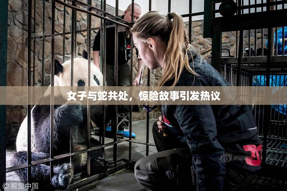 女子与蛇共处，惊险故事引发热议