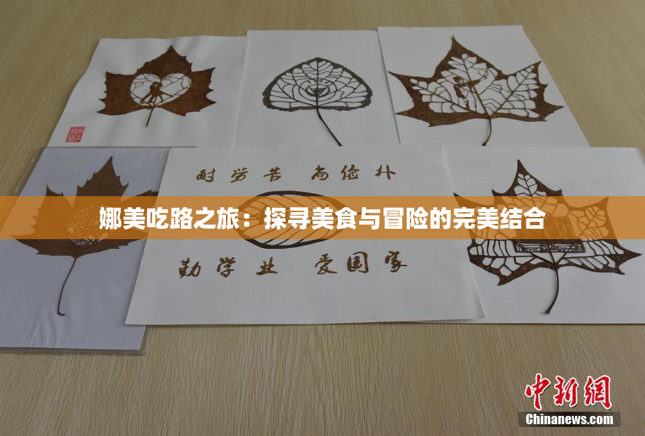 娜美吃路之旅：探寻美食与冒险的完美结合