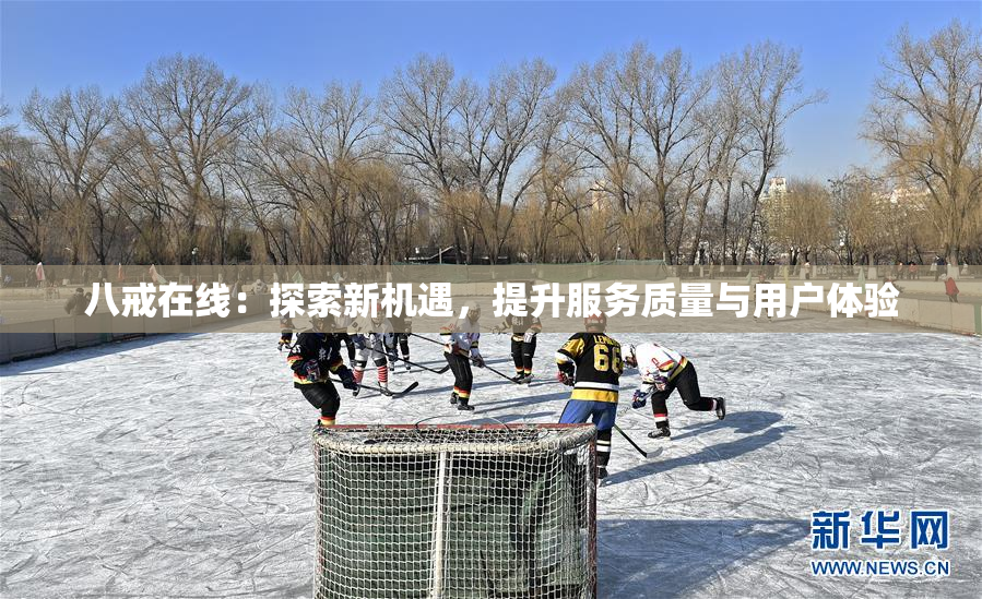 八戒在线：探索新机遇，提升服务质量与用户体验
