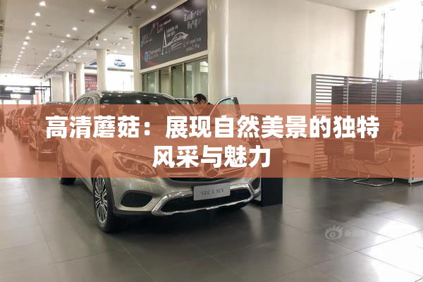 高清蘑菇：展现自然美景的独特风采与魅力