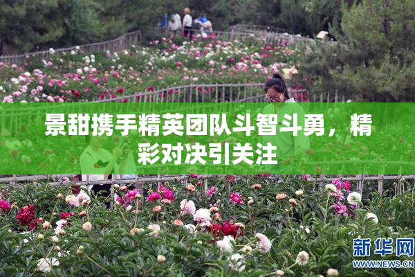 景甜携手精英团队斗智斗勇，精彩对决引关注