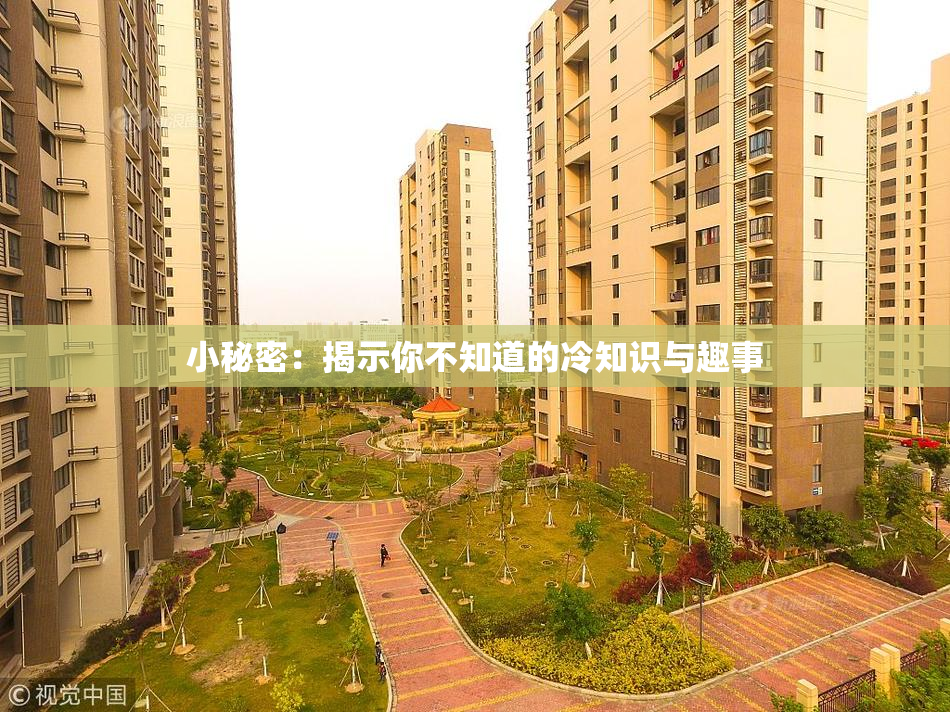 小秘密：揭示你不知道的冷知识与趣事
