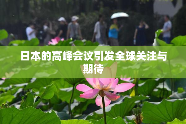 日本的高峰会议引发全球关注与期待