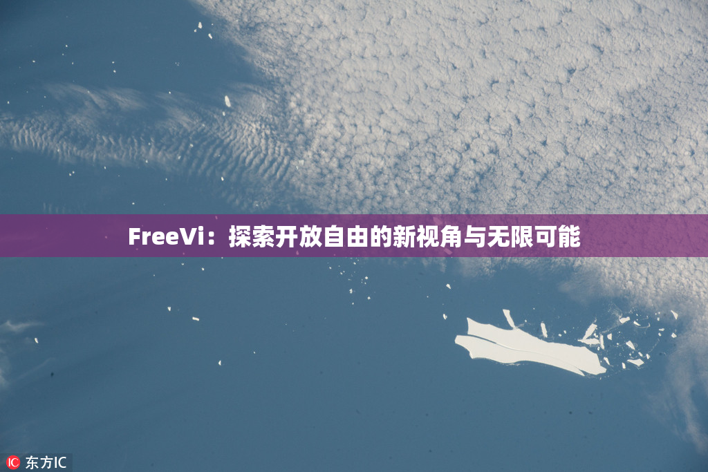 FreeVi：探索开放自由的新视角与无限可能