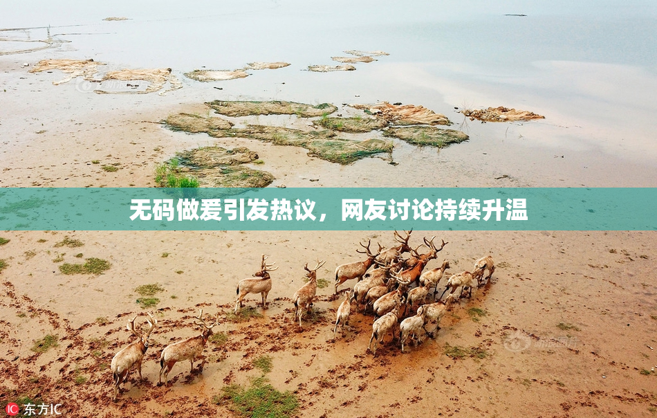 无码做爰引发热议，网友讨论持续升温