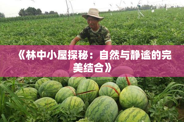 《林中小屋探秘：自然与静谧的完美结合》