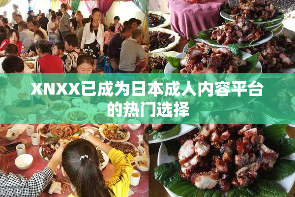 XNXX已成为日本成人内容平台的热门选择