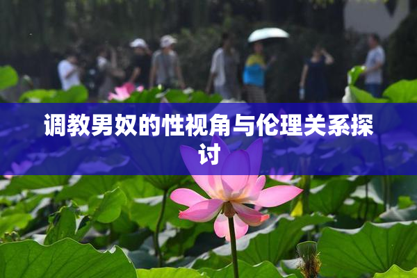 调教男奴的性视角与伦理关系探讨
