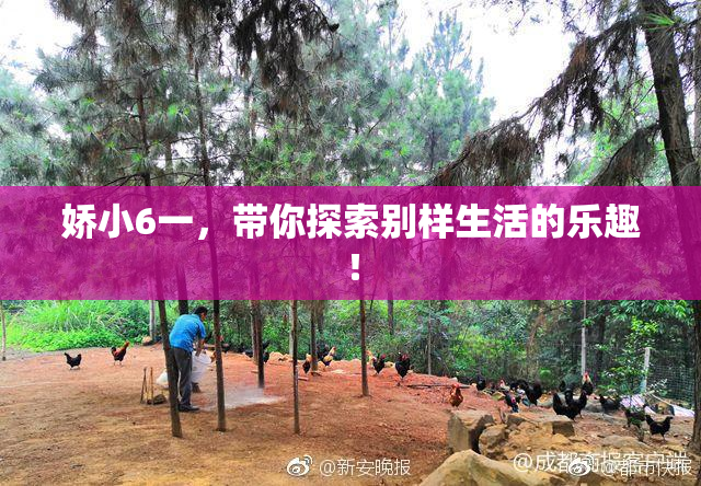 娇小6一，带你探索别样生活的乐趣！