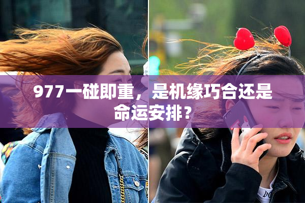 977一碰即重，是机缘巧合还是命运安排？