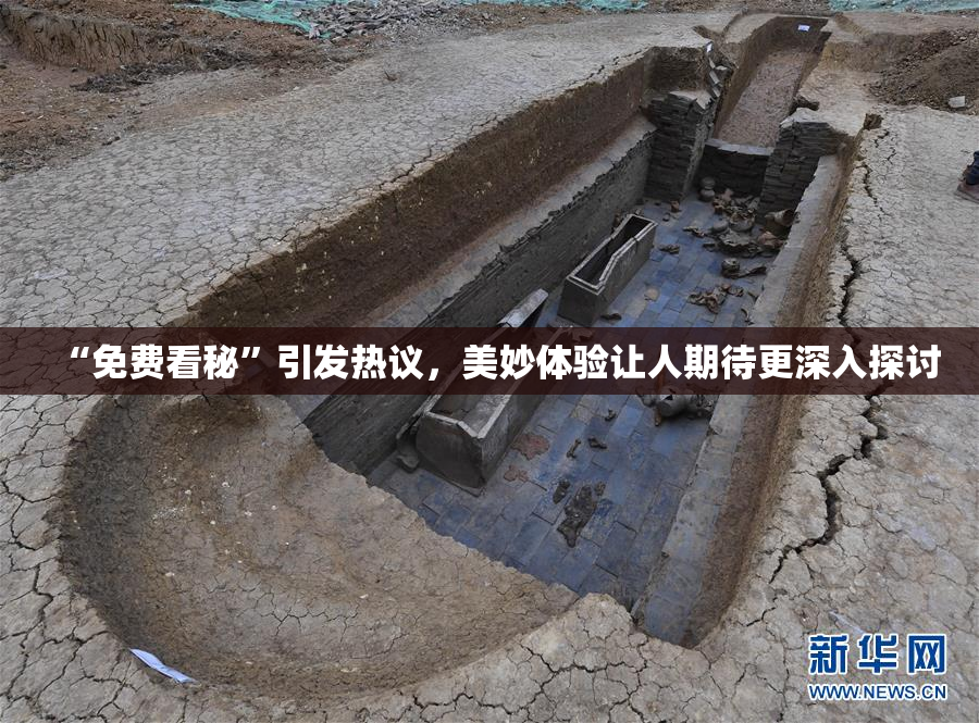 “免费看秘”引发热议，美妙体验让人期待更深入探讨