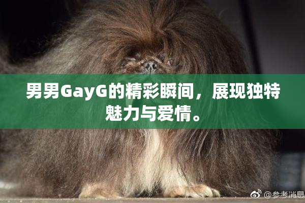 男男GayG的精彩瞬间，展现独特魅力与爱情。