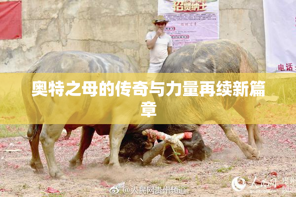 奥特之母的传奇与力量再续新篇章