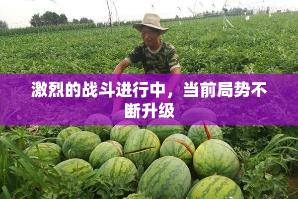 激烈的战斗进行中，当前局势不断升级