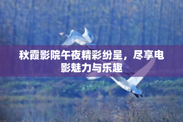 秋霞影院午夜精彩纷呈，尽享电影魅力与乐趣