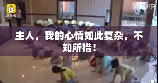 主人，我的心情如此复杂，不知所措！