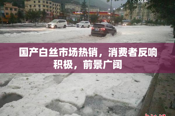 国产白丝市场热销，消费者反响积极，前景广阔