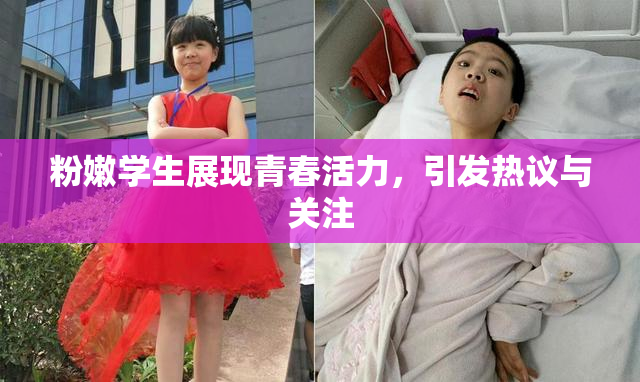 粉嫩学生展现青春活力，引发热议与关注