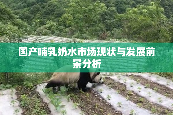 国产哺乳奶水市场现状与发展前景分析