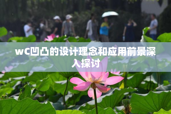 wC凹凸的设计理念和应用前景深入探讨