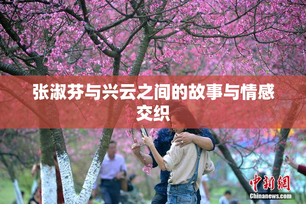 张淑芬与兴云之间的故事与情感交织