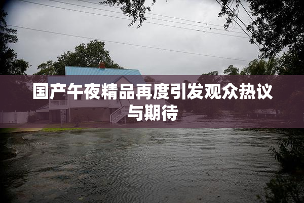 国产午夜精品再度引发观众热议与期待