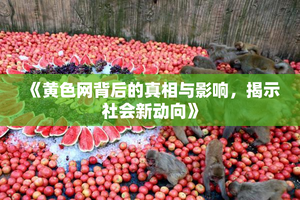 《黄色网背后的真相与影响，揭示社会新动向》
