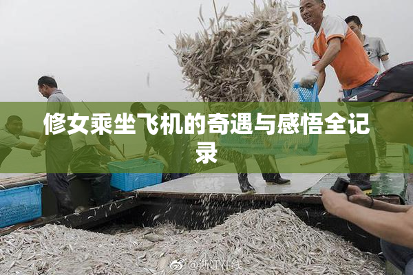 修女乘坐飞机的奇遇与感悟全记录