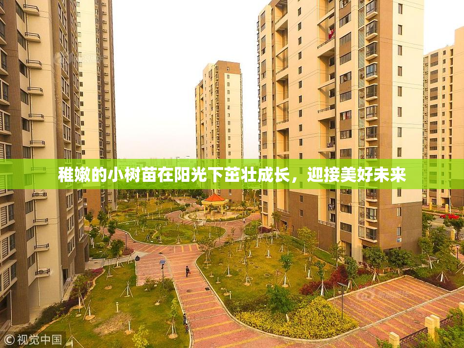 稚嫩的小树苗在阳光下茁壮成长，迎接美好未来