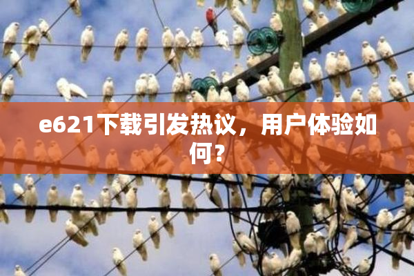 e621下载引发热议，用户体验如何？