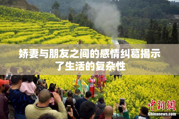 娇妻与朋友之间的感情纠葛揭示了生活的复杂性