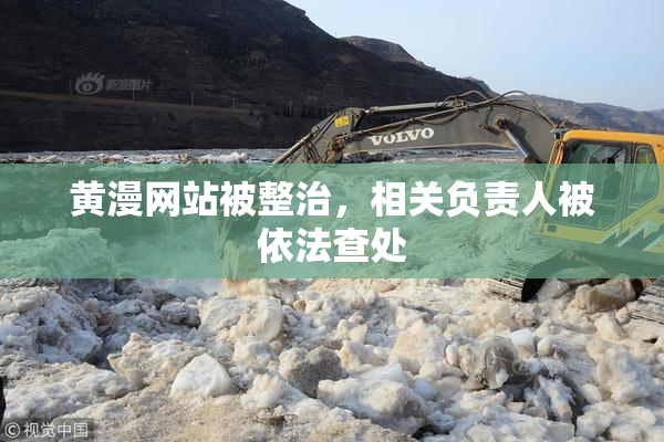 黄漫网站被整治，相关负责人被依法查处