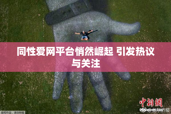 同性爱网平台悄然崛起 引发热议与关注
