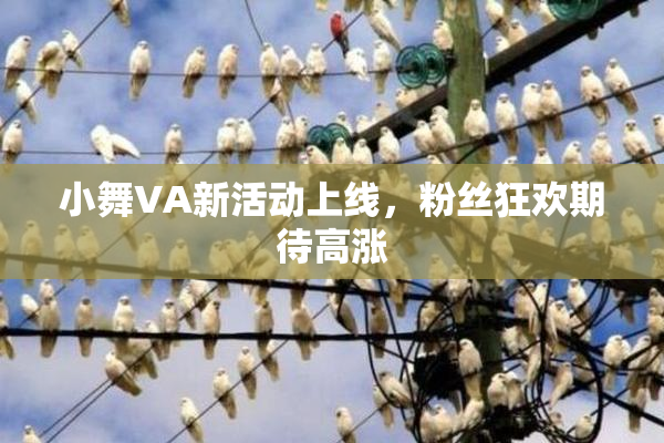 小舞VA新活动上线，粉丝狂欢期待高涨