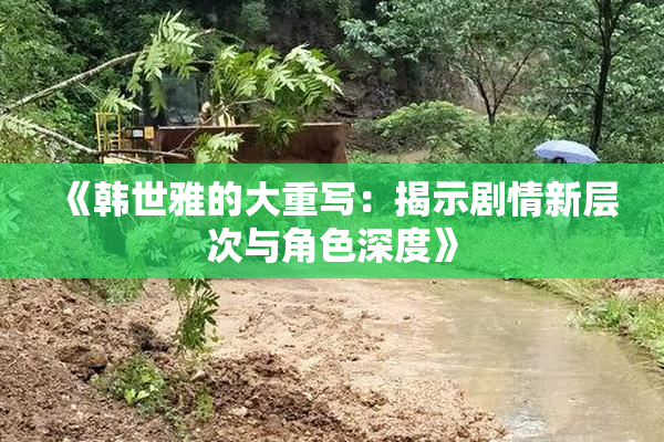 《韩世雅的大重写：揭示剧情新层次与角色深度》