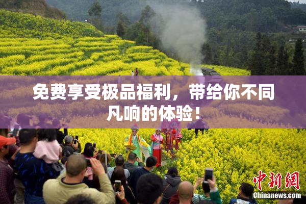 免费享受极品福利，带给你不同凡响的体验！