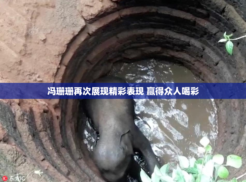 冯珊珊再次展现精彩表现 赢得众人喝彩