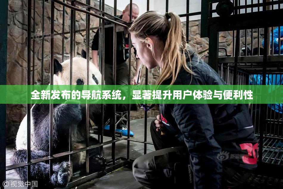 全新发布的导航系统，显著提升用户体验与便利性