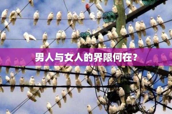 男人与女人的界限何在？