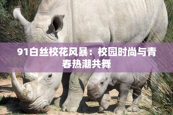 91白丝校花风暴：校园时尚与青春热潮共舞