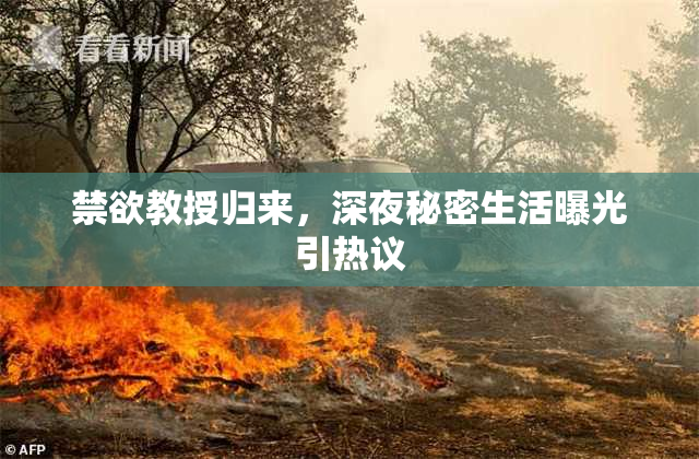 禁欲教授归来，深夜秘密生活曝光引热议