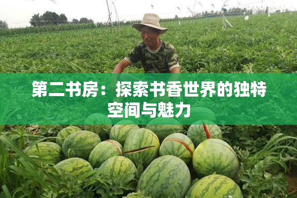第二书房：探索书香世界的独特空间与魅力