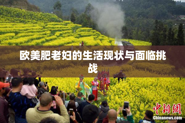 欧美肥老妇的生活现状与面临挑战
