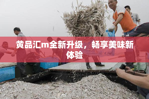黄品汇m全新升级，畅享美味新体验