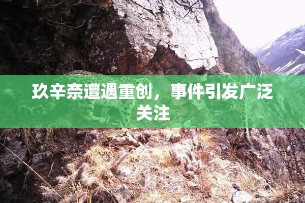 玖辛奈遭遇重创，事件引发广泛关注