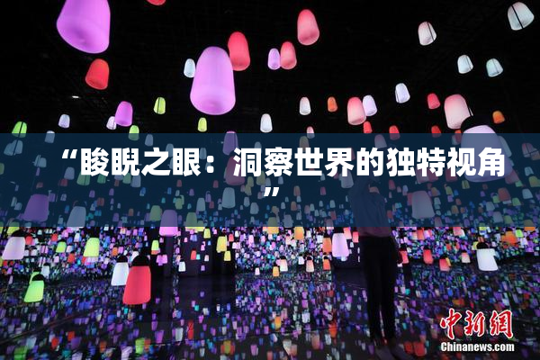 “睃睨之眼：洞察世界的独特视角”