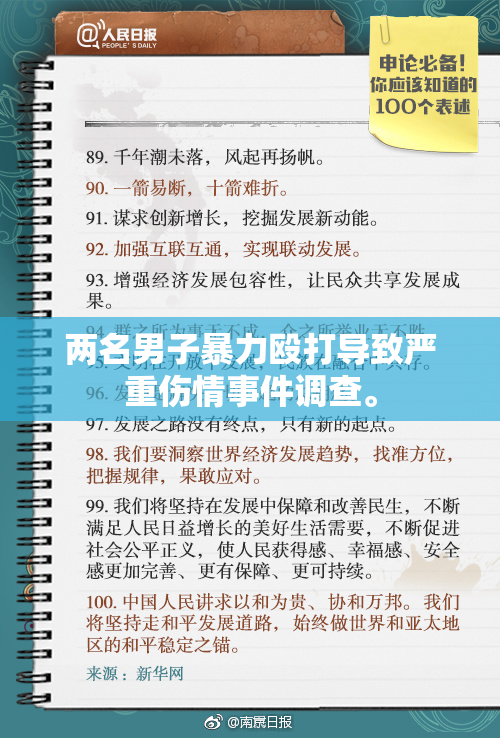 两名男子暴力殴打导致严重伤情事件调查。