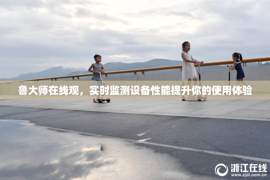 鲁大师在线观，实时监测设备性能提升你的使用体验