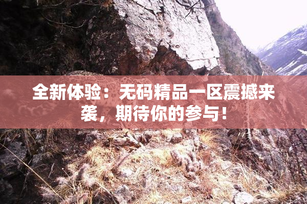 全新体验：无码精品一区震撼来袭，期待你的参与！