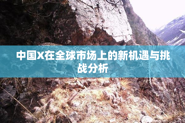 中国X在全球市场上的新机遇与挑战分析